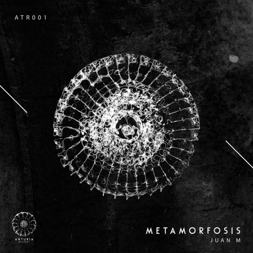 Metamorfosis