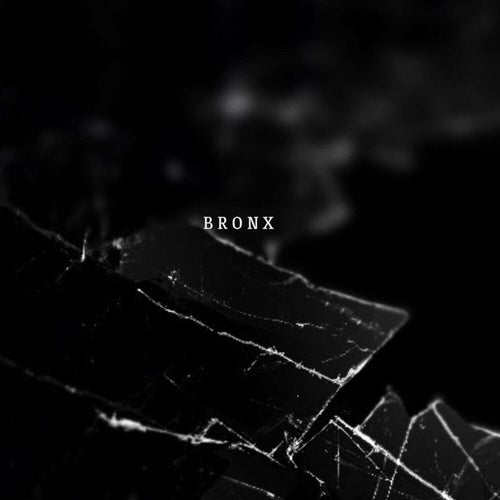 bronx