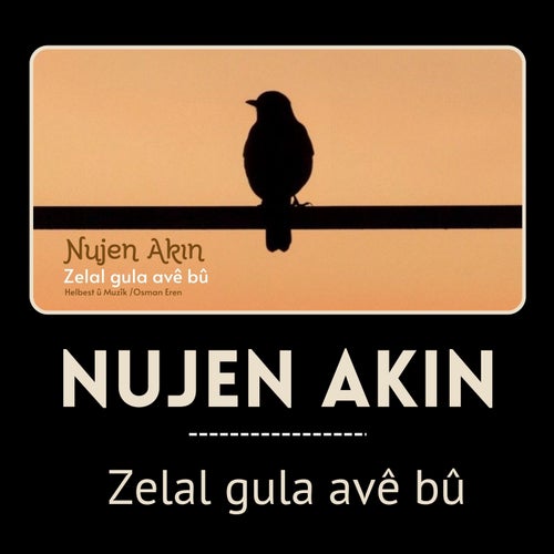 Zelal Gula Avê Bû