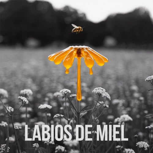 Labios de miel