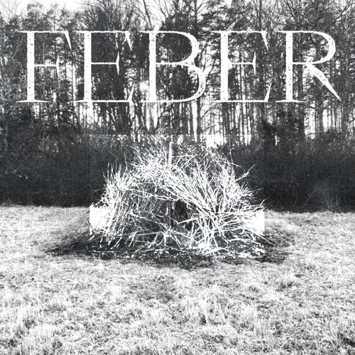 Feber