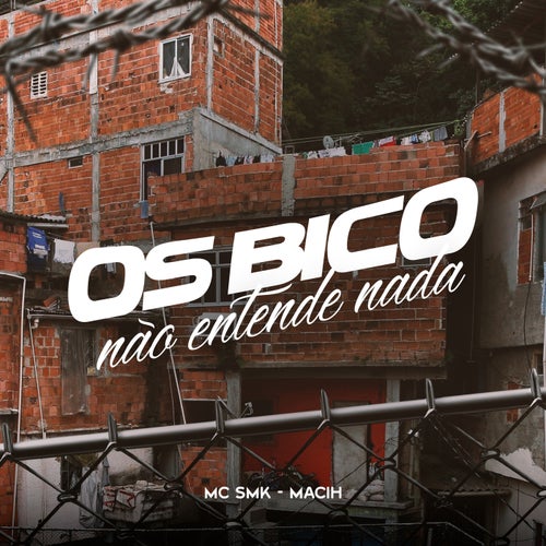 Os Bico Não Entende Nada