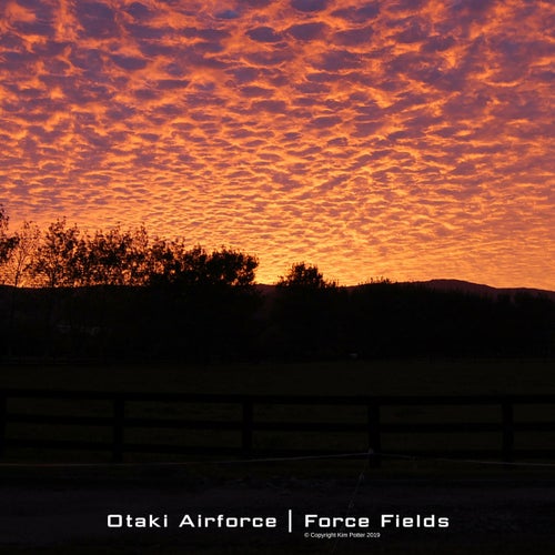 Force Fields