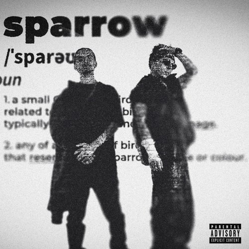Release of the week