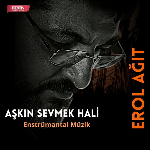 Aşkın Sevmek Hali