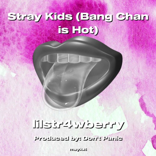 Stray Kids (Bang Chan is Hot)