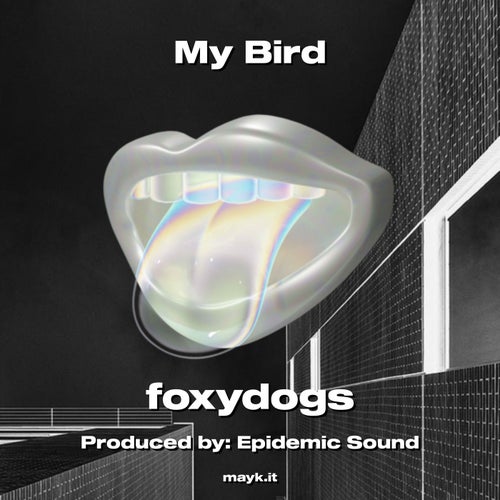 My Bird