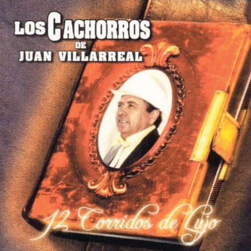 12 Corridos De Lujo