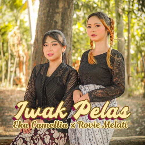 IWAK PELAS (Versi Koplo Jawa)