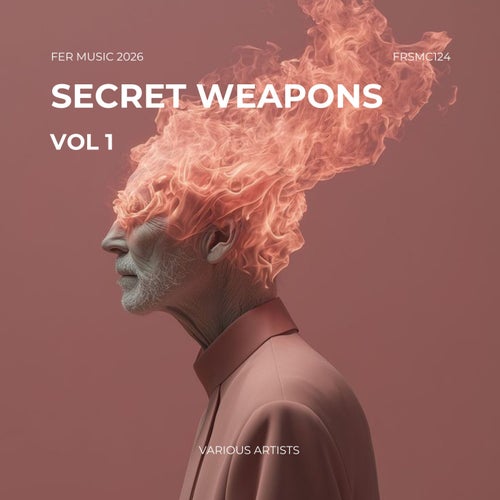 Secret Weapons Vol 1