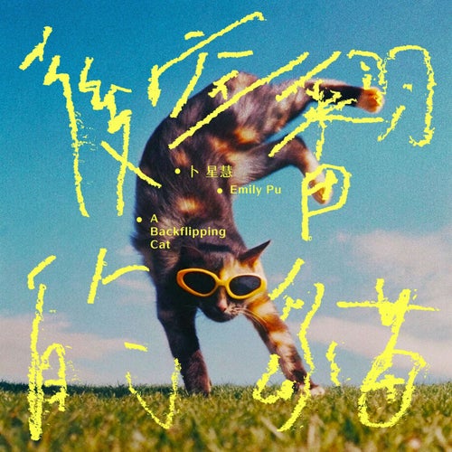 後空翻的貓