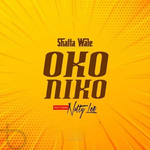 Oko Niko