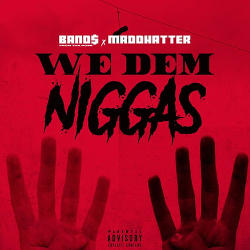 We Dem Niggas (feat. MaddHatter)