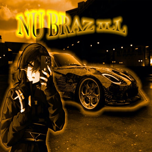 NU BRAZ ILL