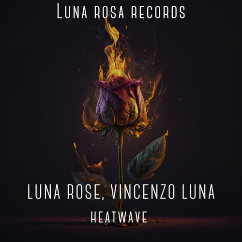 Release of the week