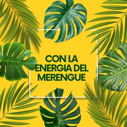 Con la energia del Merengue