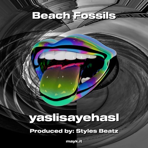 Beach Fossils