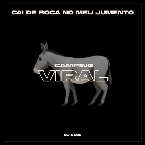 Cai de Boca no Meu Jumento