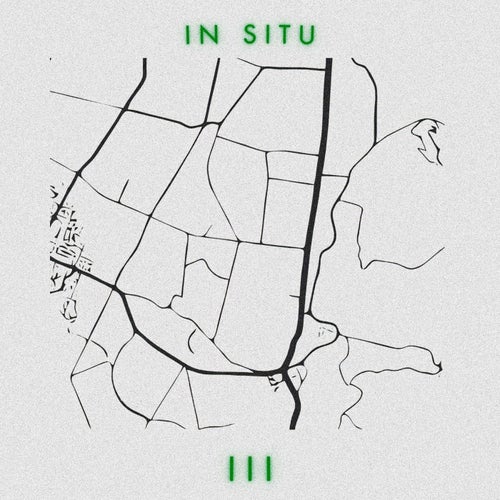 In Situ: III