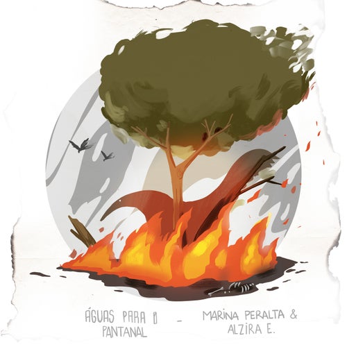 Aguas Para o Pantanal