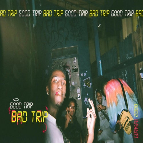 Good Trip Bad Trip