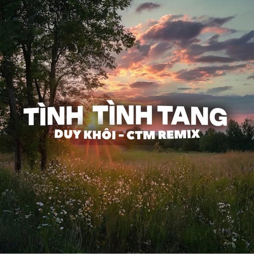 Tình Tình Tang (Remix)