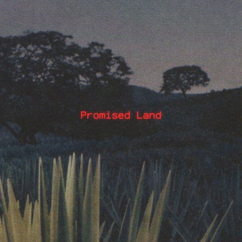 promised land