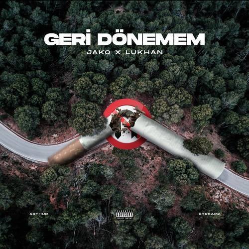 Geri Dönemem