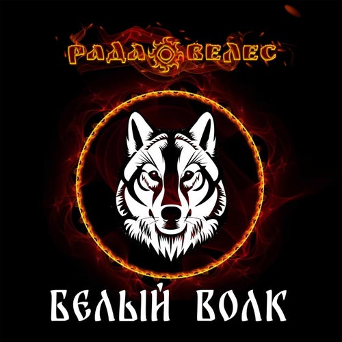 Белый Волк