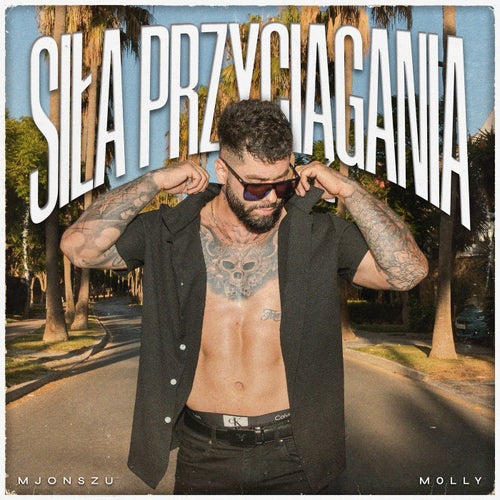 Siła przyciągania