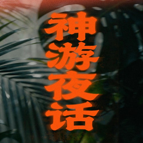 神游夜话