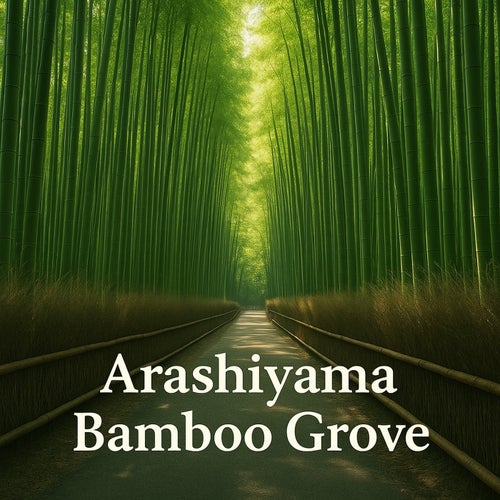 Arashiyama Bamboo grove
