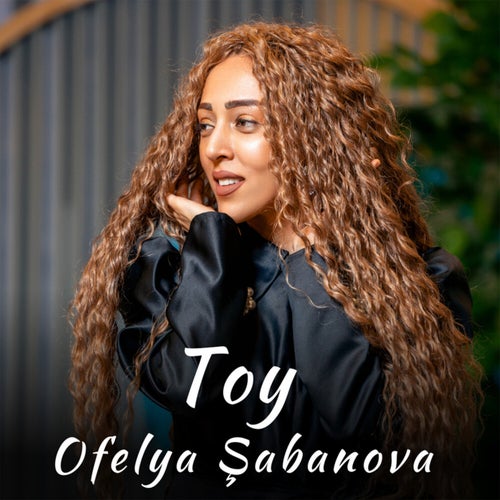 Toy