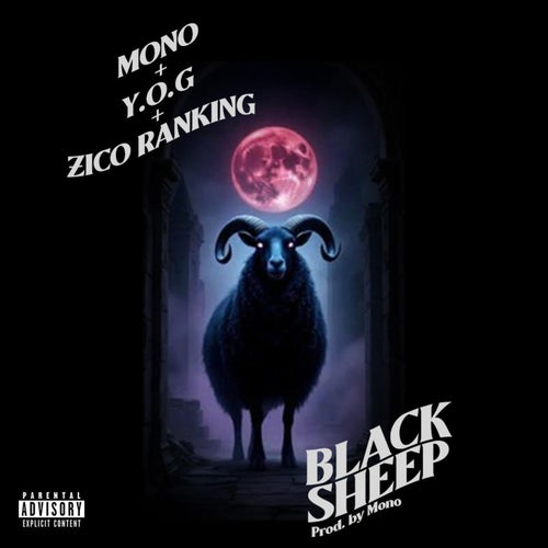 Black Sheep
