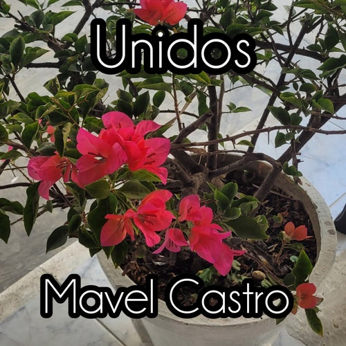 UNIDOS