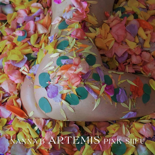 Artemis (feat. Pink Siifu)