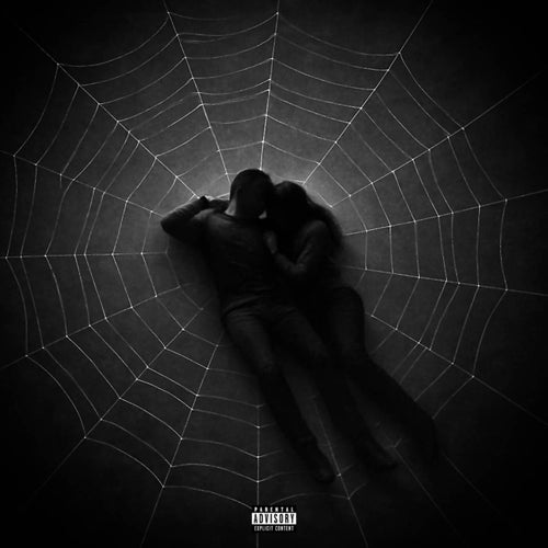 P&MJ