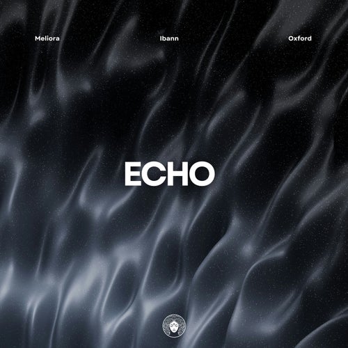 Echo (Extended Mix)