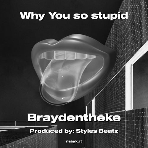 Why You so stupid