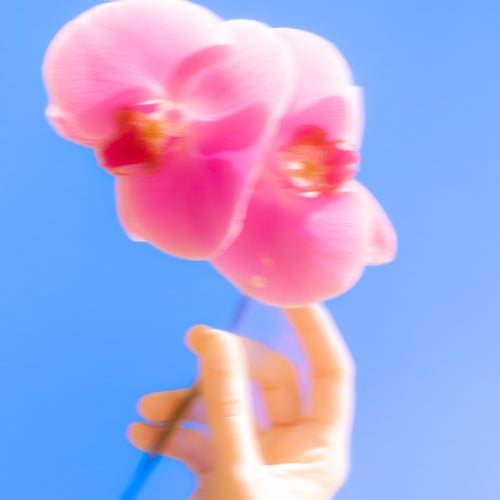 Release of the week