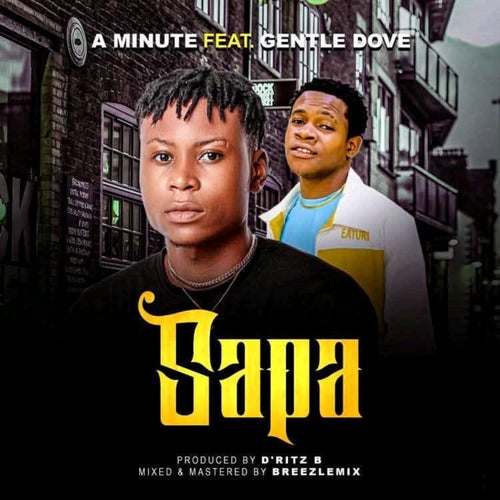 Sapa