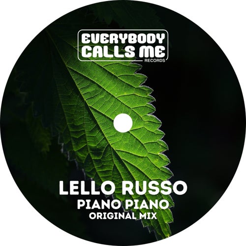 Release of the week