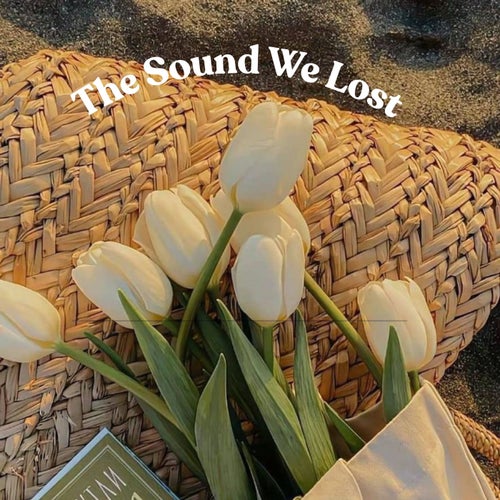 The Sound We Lost