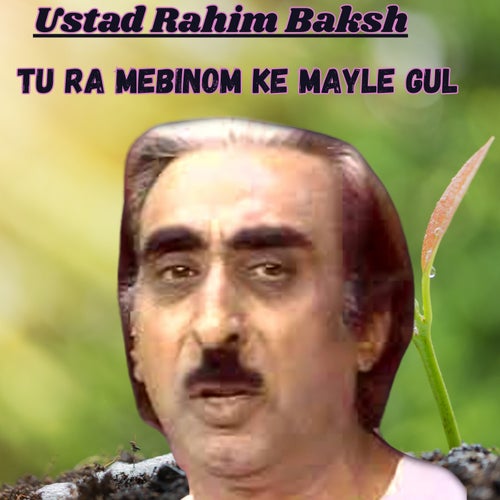 Tu Ra Mebinom Ke Mayle Gul