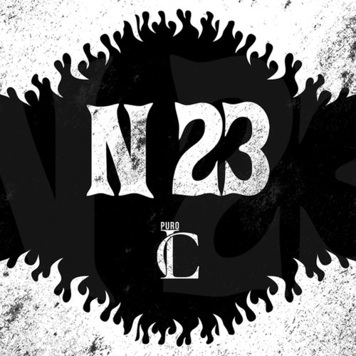 N 23