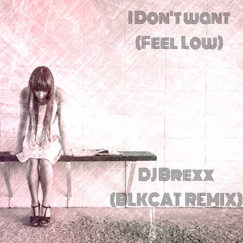 I Don't Want (Feel Low) [BlkCat Remix]