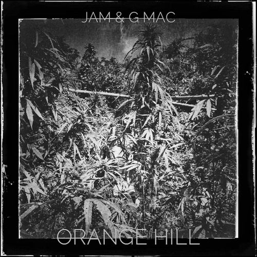 Orange Hill