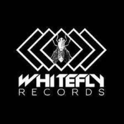 Whitefly Records Profile