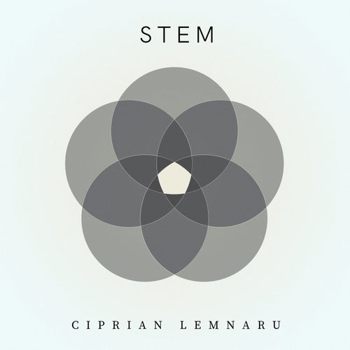 Stem