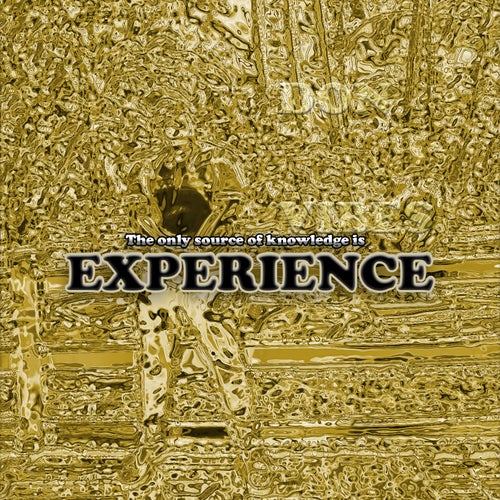 EXPERIENCE